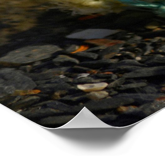 Japanse Glass Vist Float Poster (Hoek)