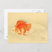 Japanse goudvis. De Ryukin. Briefkaart (Voorkant / Achterkant)