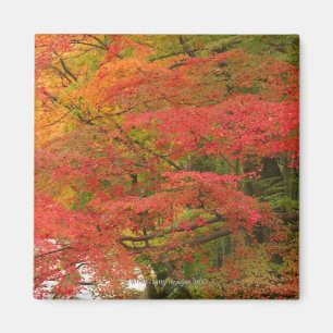 Japanse Herfst Magneet