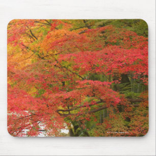 Japanse Herfst Muismat