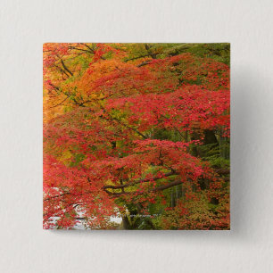 Japanse Herfst Vierkante Button 5,1 Cm