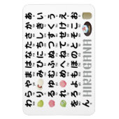 Japanse Hiragana-tabel (Wagashi) Magneet (Verticaal)