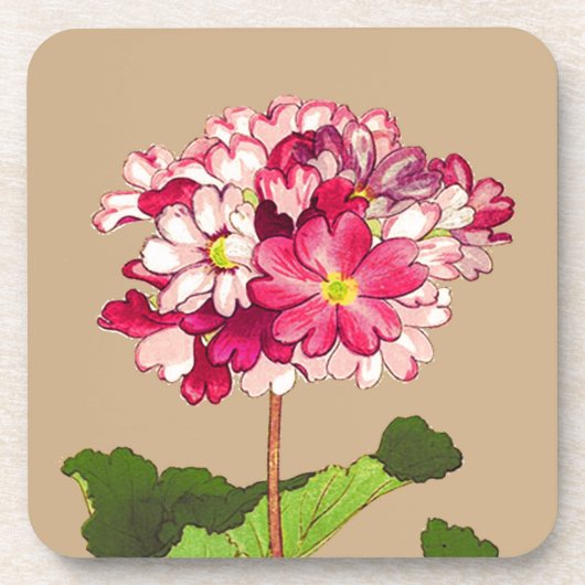 Japanse hydrangea. Roze en groen Bier Onderzetter (Voorkant)