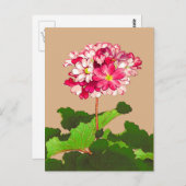 Japanse hydrangea. Roze en groen Briefkaart (Voorkant / Achterkant)