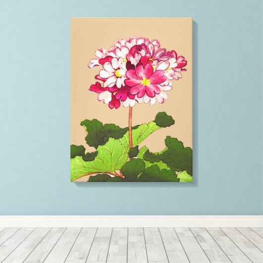 Japanse hydrangea. Roze en groen Canvas Afdruk (Insitu (Houten vloer))