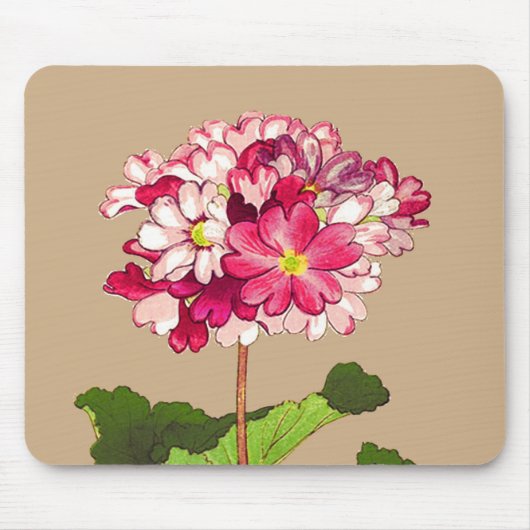  Japanse hydrangea. Roze en groen Muismat (Voorkant)