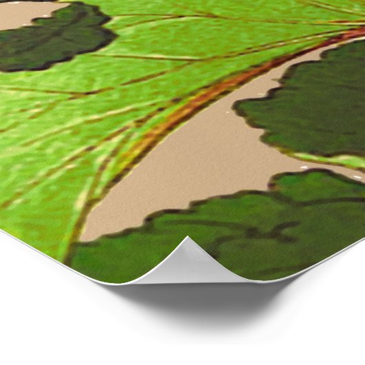 Japanse hydrangea. Roze en groen Poster (Hoek)