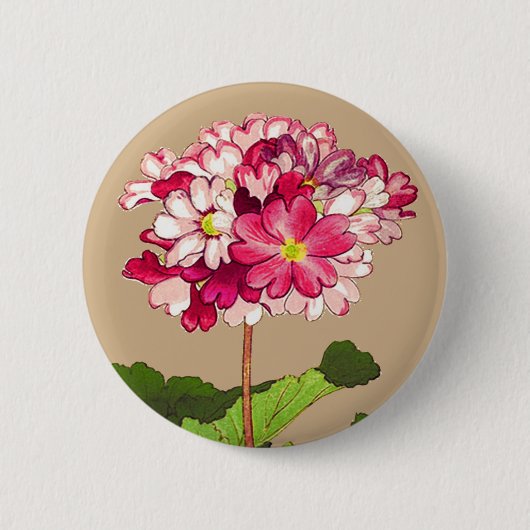 Japanse hydrangea. Roze en groen Ronde Button 5,7 Cm (Voorkant)