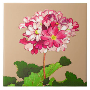  Japanse hydrangea. Roze en groen Tegeltje