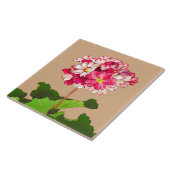  Japanse hydrangea. Roze en groen Tegeltje (Zijkant)