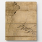 Japanse inkt op papier Gibbons Primates & Landscap Fotoplaat (Voorkant)