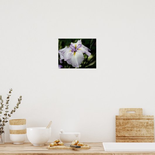 Japanse Iris-bloem in Bloom Poster (Keuken)