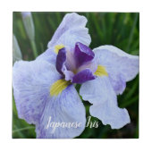 Japanse Iris Bloom Floral Tegeltje (Voorkant)