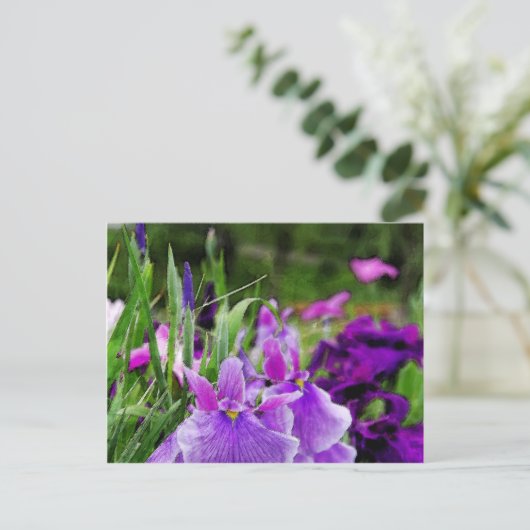 Japanse iris briefkaart (Staand voorkant)