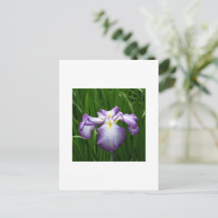 Japanse Iris Briefkaart