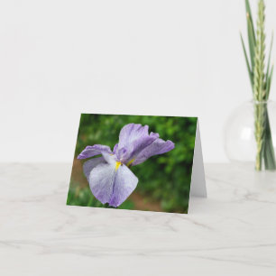 Japanse Iris die Bloem Ontplooit Fotografie  Notitiekaartje
