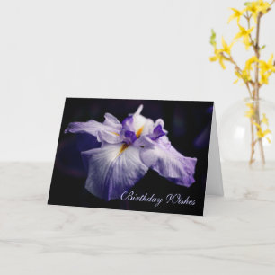 Japanse Iris Flower Beauthday Kaart
