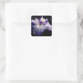 Japanse Iris Flower Beauty Vierkante Sticker (Tas)