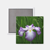 Japanse Iris: Japan Magnet (Voorkant / Achterkant)