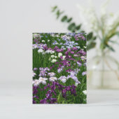 Japanse iris: Tokio, Japan Briefkaart (Staand voorkant)
