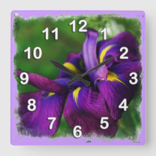 Japanse Iris Wall klok