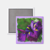Japanse irismagneet magneet (Voorkant / Achterkant)