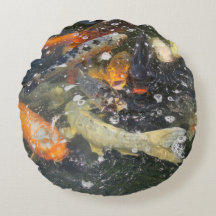 Japanse karp Koi viszwemmen