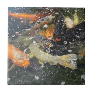 Japanse karp Koi viszwemmen Tegeltje