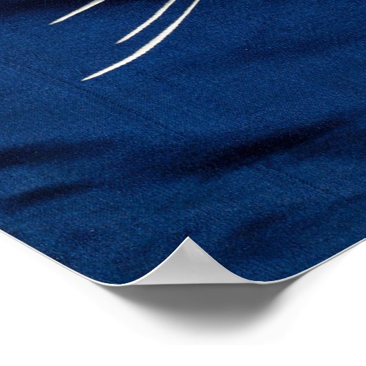  Japanse karper in Waves, Retro Poster (Hoek)