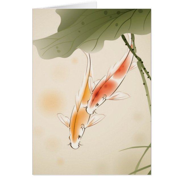 Japanse karper zwemt in lotusvijver (Voorkant)