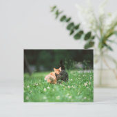 Japanse kat 4 briefkaart (Staand voorkant)