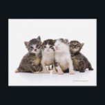 Japanse kat briefkaart<br><div class="desc">Japanse kat | ULTRA.F | AssetID: 82278509</div>