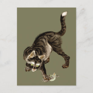 Japanse Kat die een Kikker vangt Briefkaart