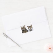 Japanse kat en Manx-kat op witte achtergrond Vierkante Sticker (Envelop)