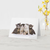 Japanse kat kaart (Gele Bloem)