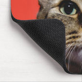 Japanse kat kijkt op muismat (Hoek)