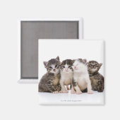 Japanse kat magneet (Voorkant / Achterkant)