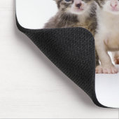 Japanse kat muismat (Hoek)