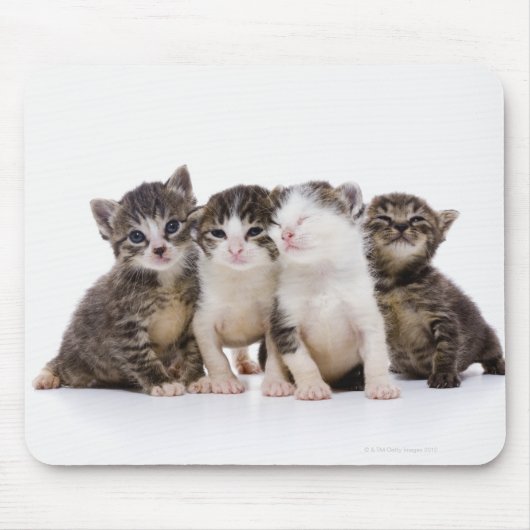 Japanse kat muismat (Voorkant)