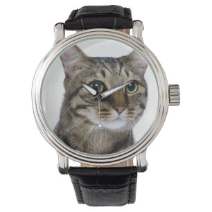 Japanse kat op witte achtergrond horloge