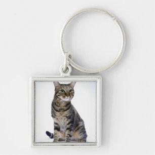 Japanse kat op witte achtergrond sleutelhanger