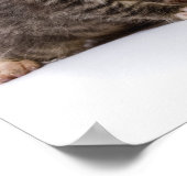 Japanse kat poster (Hoek)