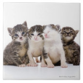 Japanse kat tegeltje (Voorkant)