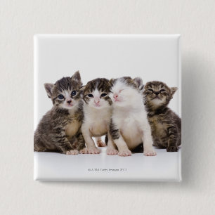 Japanse kat vierkante button 5,1 cm