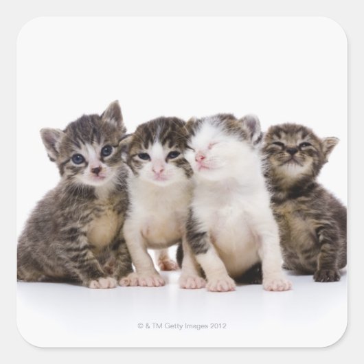 Japanse kat vierkante sticker (Voorkant)