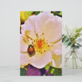 Japanse keet op witte roze (Staand voorkant)