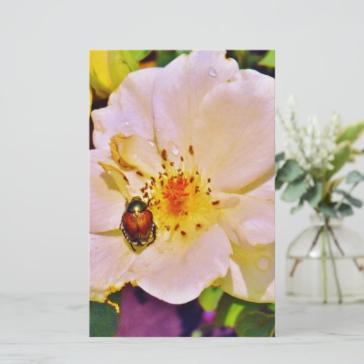 Japanse keet op witte roze (Staand voorkant)