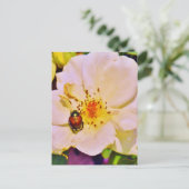 Japanse keet op witte roze briefkaart (Staand voorkant)