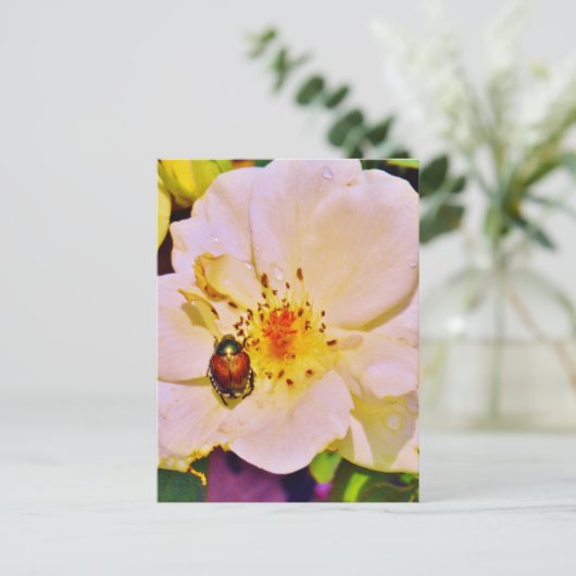 Japanse keet op witte roze briefkaart (Staand voorkant)