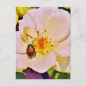 Japanse keet op witte roze briefkaart (Voorkant)